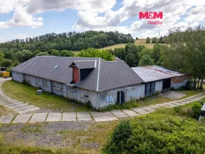Prodej výrobních prostor, Horní Benešov - Luhy, 803 m2
