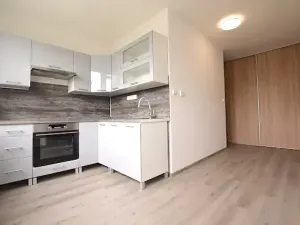 Pronájem bytu 1+1, Blatná, Na Bílé husi, 44 m2