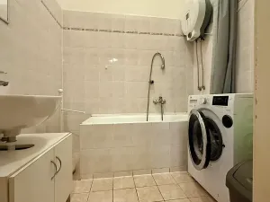 Pronájem bytu 1+1, Plzeň, Alešova, 50 m2