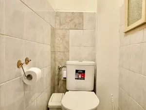 Pronájem bytu 1+1, Plzeň, Alešova, 50 m2