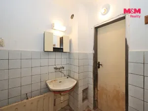 Prodej zemědělské usedlosti, Černovice - Benešov, 265 m2