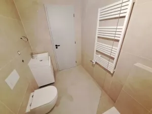 Pronájem bytu 1+kk, Brno, Koliště, 30 m2