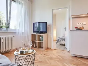 Pronájem bytu 3+kk, Plzeň, Koterovská, 54 m2