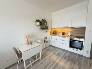 Pronájem bytu 1+kk, Rajhrad, Masarykova, 41 m2