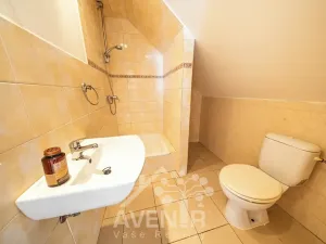 Prodej vícegeneračního domu, Liberec, Hradební, 145 m2