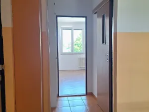 Pronájem bytu 1+kk, Dobřany, 17. listopadu, 19 m2