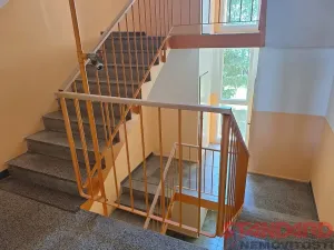 Pronájem bytu 1+kk, Dobřany, 17. listopadu, 19 m2