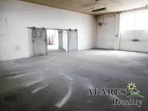 Pronájem skladu, Velký Osek, 235 m2