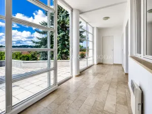 Prodej ordinace, Křižanov, Benešovo náměstí, 530 m2