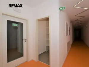 Pronájem bytu 2+kk, Plzeň, Sladová, 63 m2