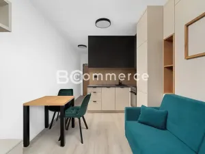 Pronájem bytu 1+kk, Brno, Dornych, 27 m2