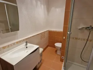 Pronájem bytu 1+kk, Plzeň, Jesenická, 32 m2