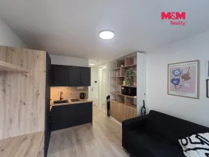 Prodej bytu 1+kk, Praha - Vršovice, Kubánské náměstí, 19 m2