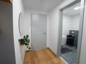 Pronájem bytu 1+kk, Olomouc, Edmunda Husserla, 29 m2