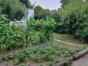 Prodej zahrady, Kladno, U Trati, 180 m2