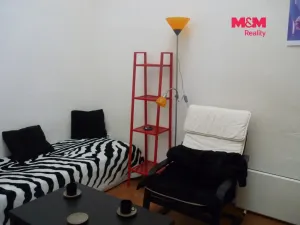 Pronájem bytu 1+kk, Praha - Vinohrady, Mánesova, 17 m2