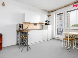 Prodej bytu 1+kk, Pardubice - Zelené Předměstí, nábřeží Závodu míru, 32 m2
