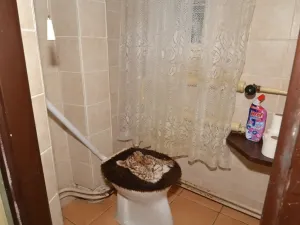 Prodej rodinného domu, Chrást, 9. května, 245 m2