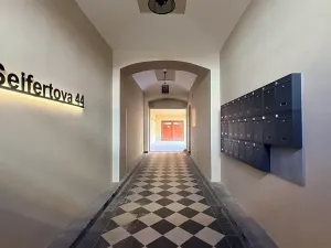 Pronájem bytu 1+kk, Praha - Žižkov, Seifertova, 25 m2