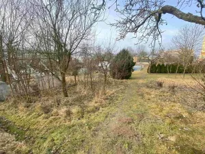 Dražba zahrady, Střížovice, 194 m2