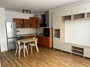 Pronájem bytu 1+kk, České Budějovice, Riegrova, 32 m2