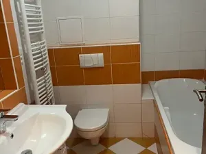 Pronájem bytu 1+kk, České Budějovice, Riegrova, 32 m2