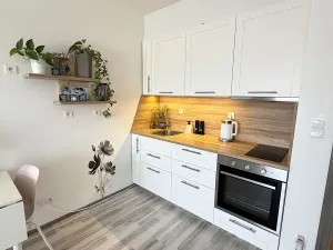 Pronájem bytu 1+kk, Rajhrad, Masarykova, 42 m2