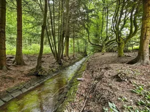 Prodej rodinného domu, Machov, 70 m2