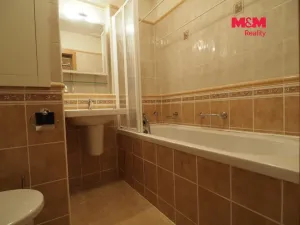 Pronájem bytu 1+kk, Bohumín - Nový Bohumín, Svat. Čecha, 25 m2
