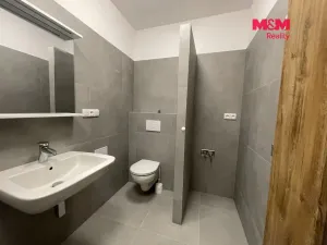 Pronájem kanceláře, Ostrava - Vítkovice, Lidická, 74 m2