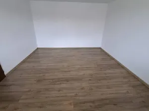 Prodej bytu 1+1, Borotín, 47 m2