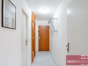 Pronájem bytu 1+kk, Olomouc, Handkeho, 43 m2