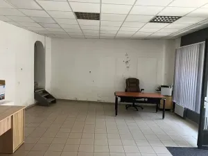 Prodej obchodního prostoru, Brandýs nad Labem-Stará Boleslav, 250 m2