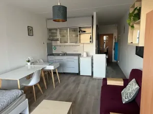 Pronájem bytu 1+kk, Hradec Králové, Hradecká, 30 m2