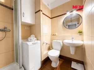 Prodej bytu 1+1, Třeboň, Vrchlického, 32 m2
