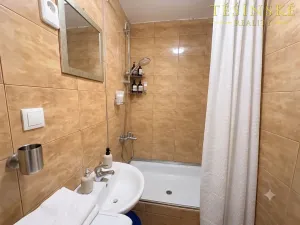 Prodej bytu 1+kk, Český Těšín, Slezská, 29 m2