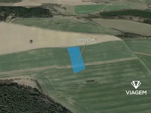 Prodej podílu pole, Třebějice, 1371 m2