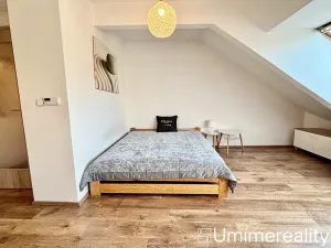 Pronájem bytu 1+kk, Praha - Vinohrady, Šrobárova, 50 m2