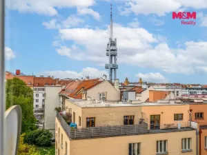 Prodej bytu 2+1, Praha - Žižkov, Baranova, 90 m2