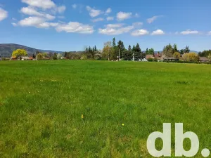 Prodej pozemku pro bydlení, Hroznětín, 45594 m2