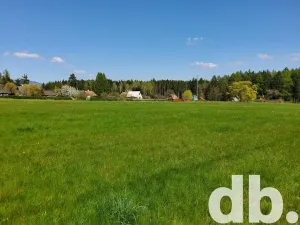 Prodej pozemku pro bydlení, Hroznětín, 45594 m2