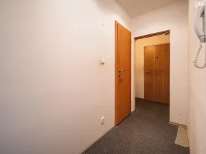 Prodej bytu 2+1, Brno, Mikulčická, 56 m2