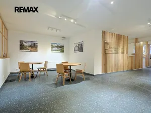 Pronájem obchodního prostoru, Plzeň, Škroupova, 210 m2