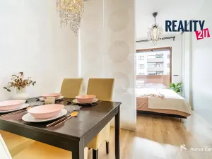 Pronájem bytu 1+kk, Brno, Kigginsova, 52 m2