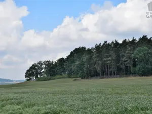 Prodej rodinného domu, Čečelovice, 360 m2