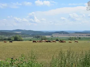 Prodej rodinného domu, Čečelovice, 360 m2