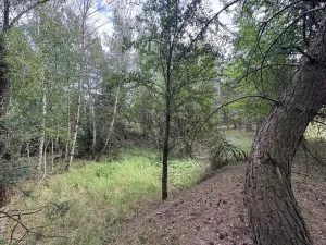 Prodej louky, Rybníky, 17967 m2