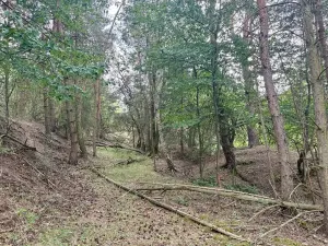 Prodej louky, Rybníky, 17967 m2