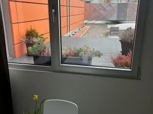 Pronájem kanceláře, České Budějovice, České Vrbné, 22 m2
