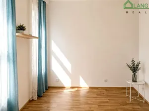 Pronájem bytu 1+kk, Brno, Koliště, 30 m2